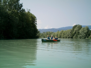 Kanu Flusswandern auf der Drau